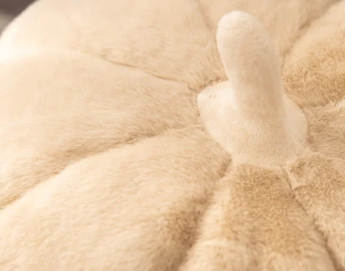 Close-up on our Pumpkin Cushion in Custard to show its stem and soft surface.
