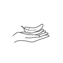 Illustration of a hand holding a feather.