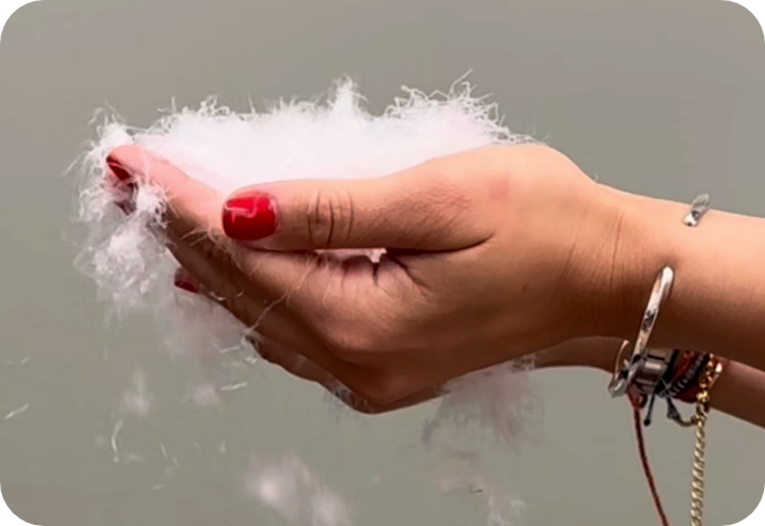 Soft and Fluffy Down A hand holding down.