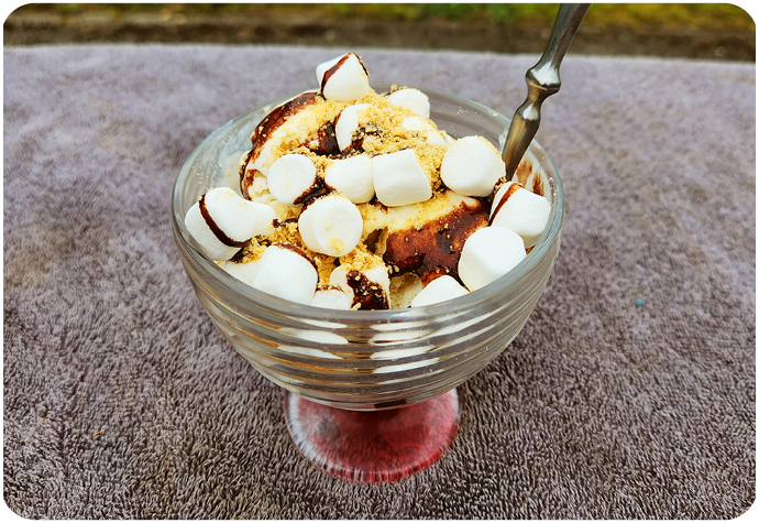 A S'Mores Ice Cream Sunday shared by QE Home content writer and recipe author.