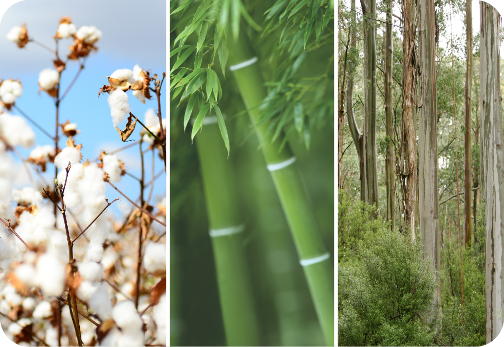 A collated image of plant-based bedding resources.